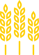 wheat-1.png