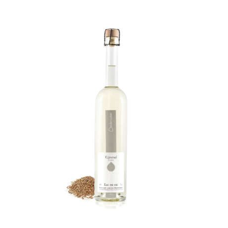 Kümmel